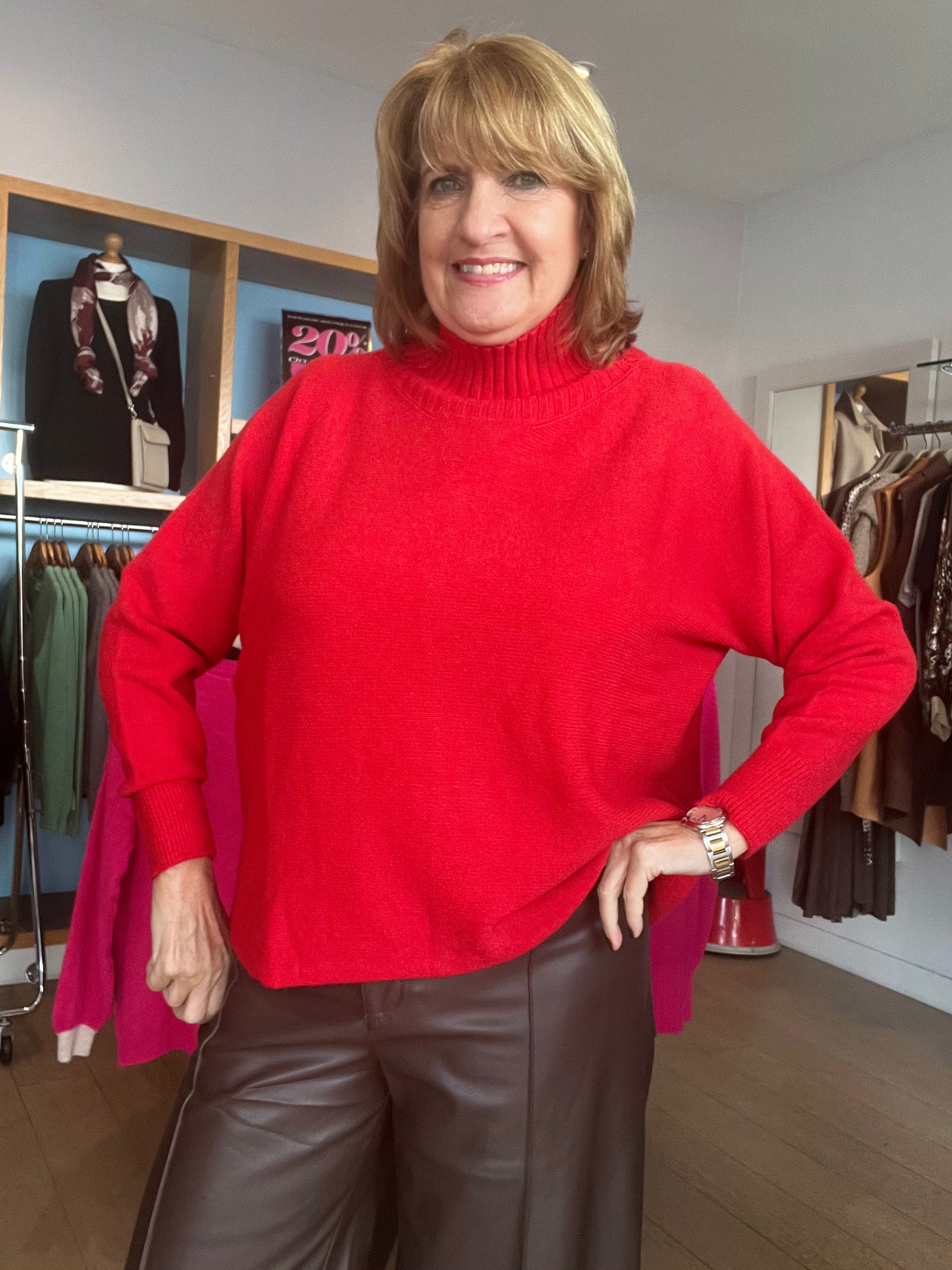 Alpini Bestselling Mock Neck Knit