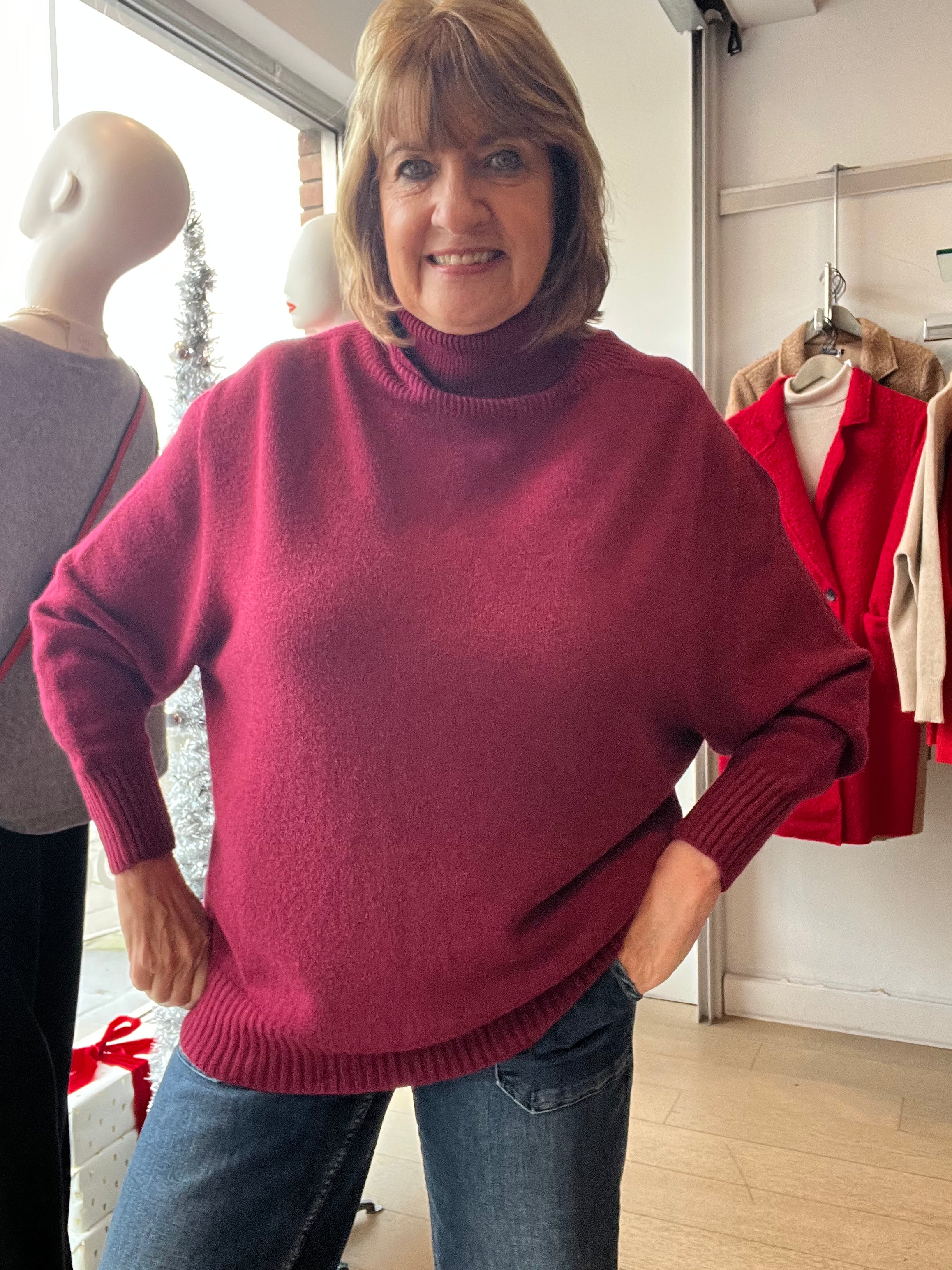 Alpini Alicia Roll Neck Cosy Knit