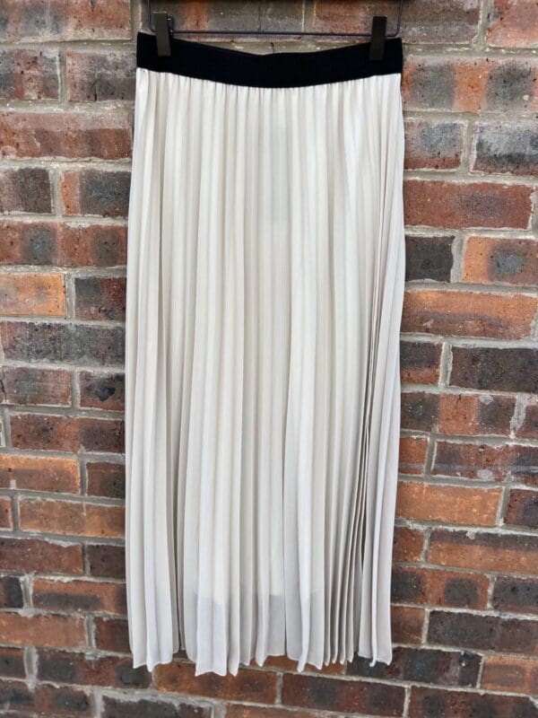 Easy Plain Pleated fully lined skirt with elastic waist